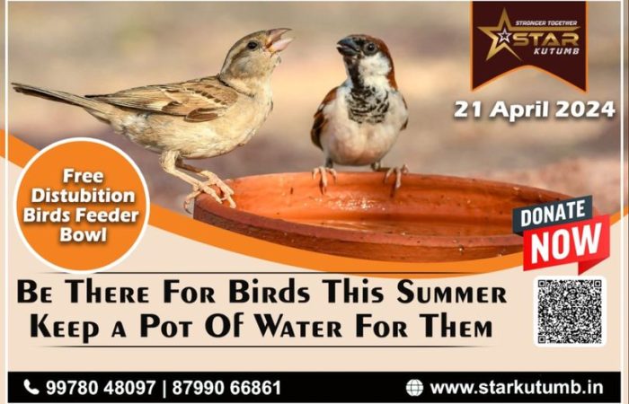 Feeding Navsari’s Birds
