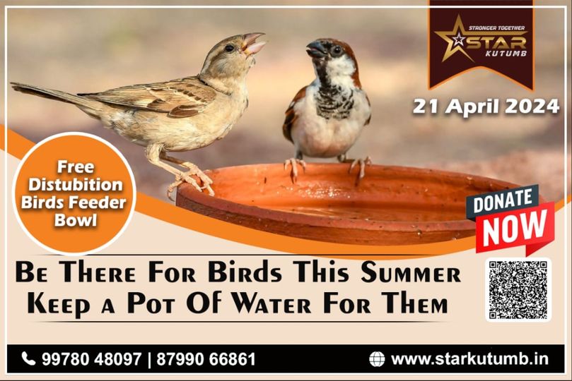 Feeding Navsari’s Birds